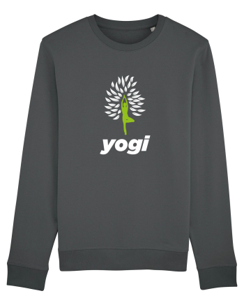 yogi Anthracite