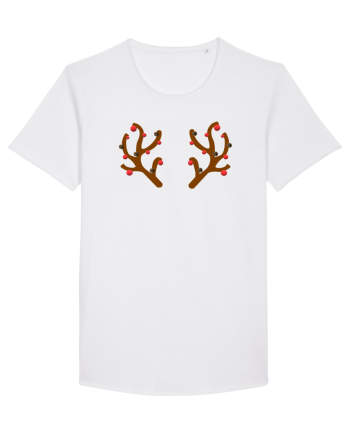 Coarnele lui Rudolf White