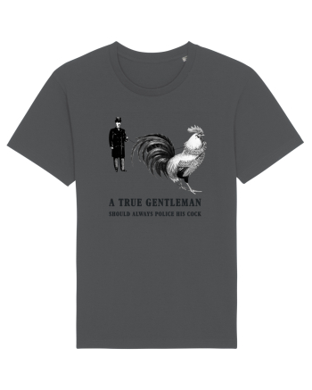 A True Gentleman Anthracite