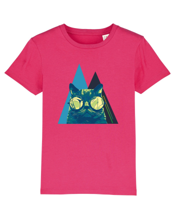 Cool Cat with glasses Raspberry