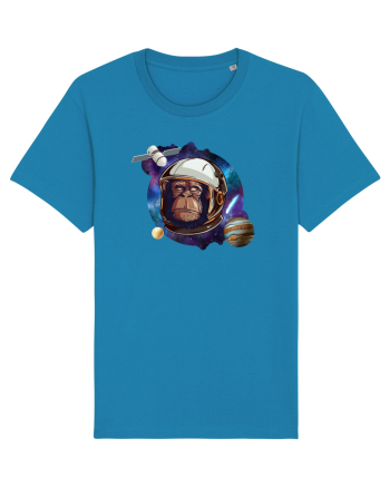 Chimp Astronaut Azur
