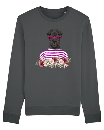 COOL CAMEL Anthracite