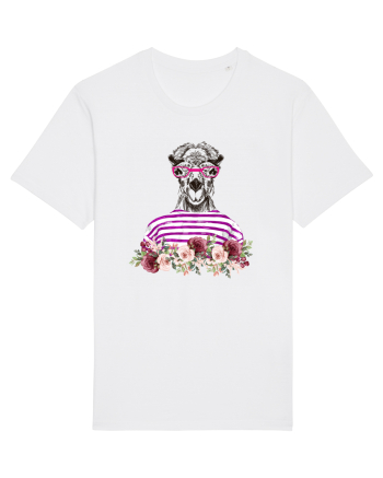 COOL CAMEL White