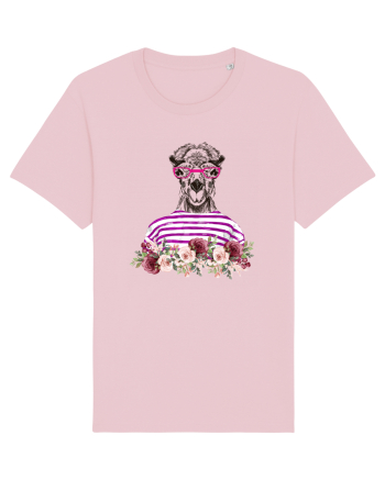 COOL CAMEL Cotton Pink