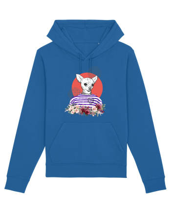COOL Chihuahua Royal Blue