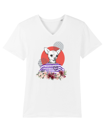 COOL Chihuahua White