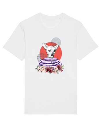 COOL Chihuahua White