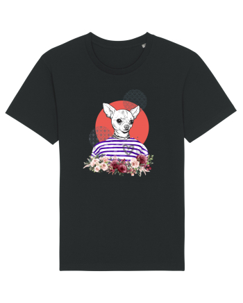 COOL Chihuahua Black