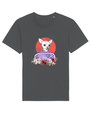 COOL Chihuahua Anthracite