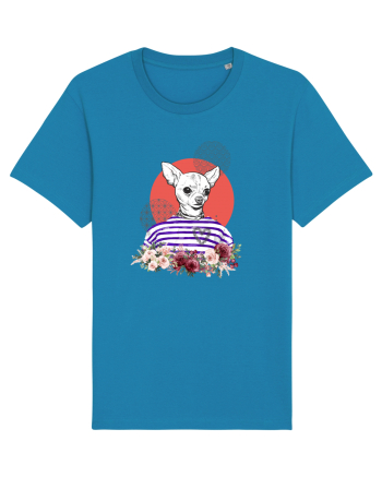 COOL Chihuahua Azur