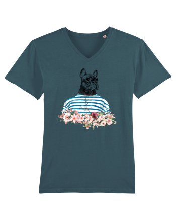COOL French Bulldog Stargazer