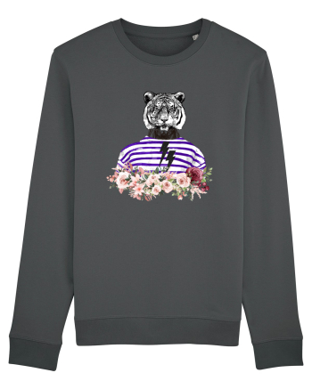 COOL Tiger Anthracite