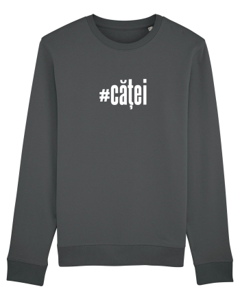 #căței Anthracite
