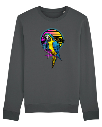 Papagal colorat in vacanta Anthracite