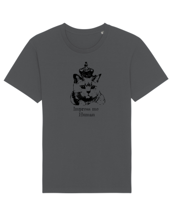 Royal Cat  Anthracite