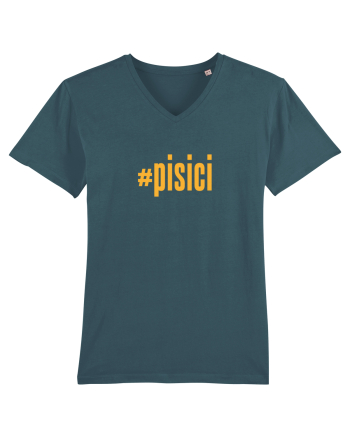 #pisici Stargazer