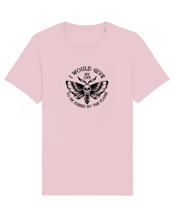 Moth, loving the flame Cotton Pink