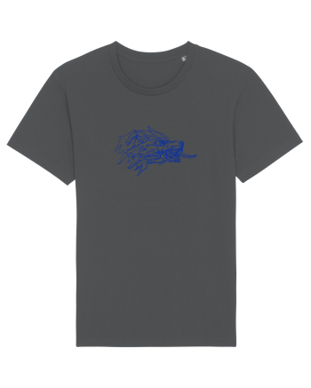 Simboluri dacice - Lupul 7. Anthracite