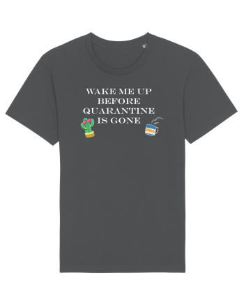 Quarantine Anthracite