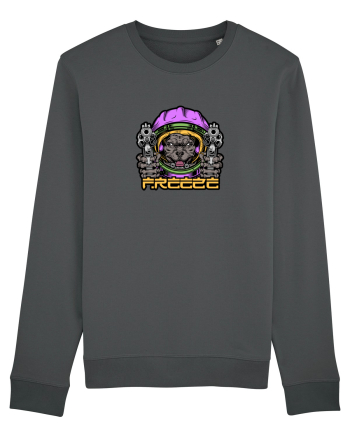 Freeze! Anthracite