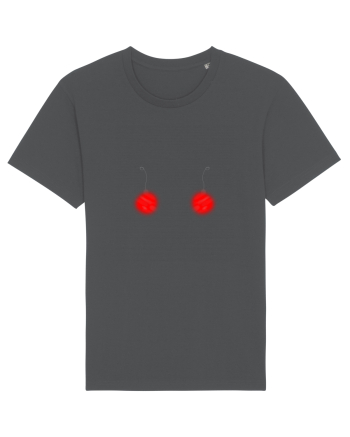 Christmas Red Globes Anthracite