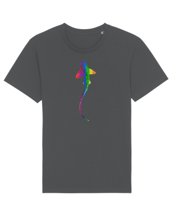 RGB Shark Anthracite