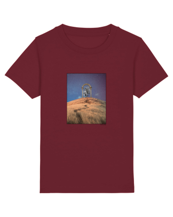 Surreal Vision no. 6 Burgundy
