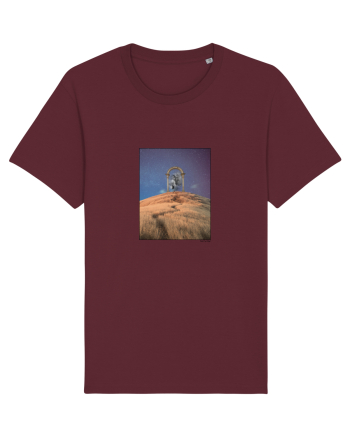 Surreal Vision no. 6 Burgundy