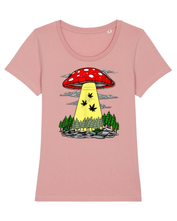 Abduction Magic Mushrooms Canyon Pink