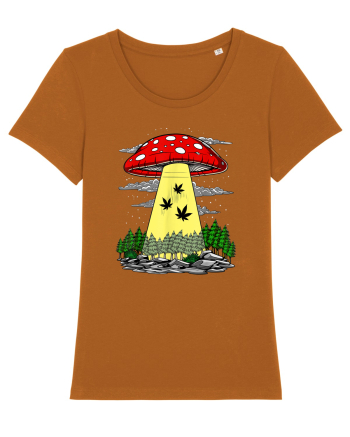 Abduction Magic Mushrooms Roasted Orange