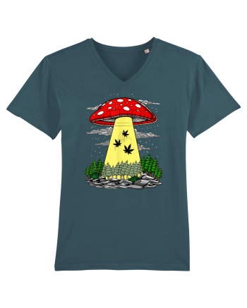Abduction Magic Mushrooms Stargazer