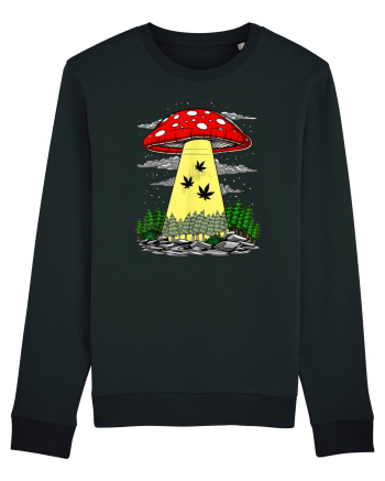 Abduction Magic Mushrooms Black