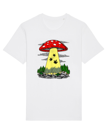 Abduction Magic Mushrooms White