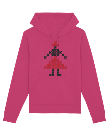 Model Maramures Raspberry