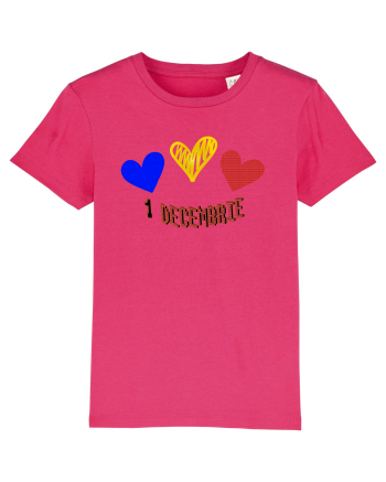 1 Decembrie Raspberry