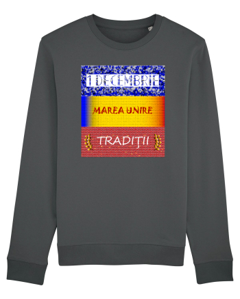 1 Decembrie Anthracite