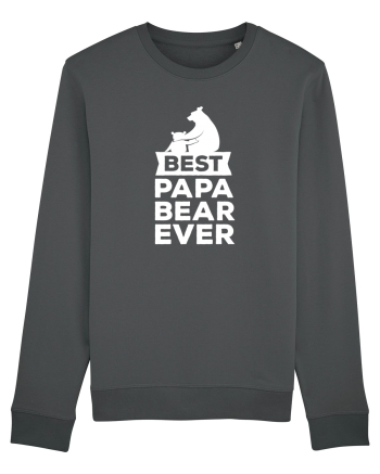 Best Papa Bear Anthracite