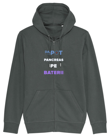 Pancreas pe baterii Anthracite