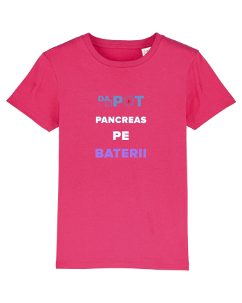 Pancreas pe baterii Raspberry