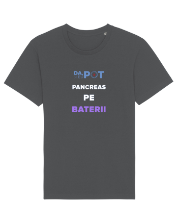 Pancreas pe baterii Anthracite
