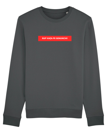 Rup Viata pe genunchi! Anthracite