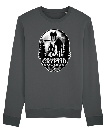 Bigfoot Dogman Mothman Anthracite