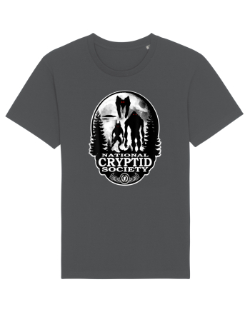 Bigfoot Dogman Mothman Anthracite