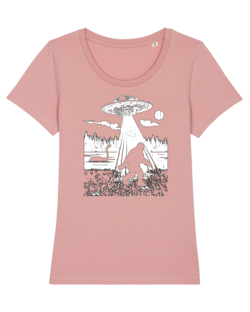 Bigfoot Alien Abduction Lockhness Monster Canyon Pink