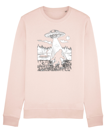Bigfoot Alien Abduction Lockhness Monster Candy Pink