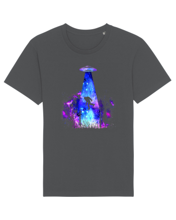 Bigfoot Alien Abduction Anthracite