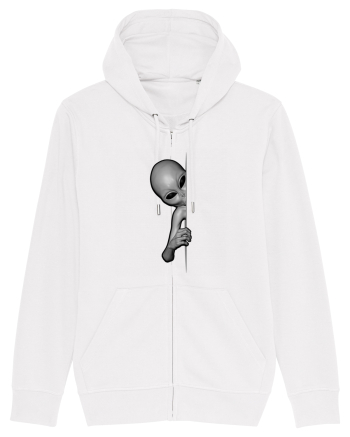 Grey Alien Peeking White