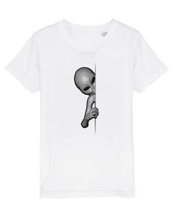 Grey Alien Peeking White