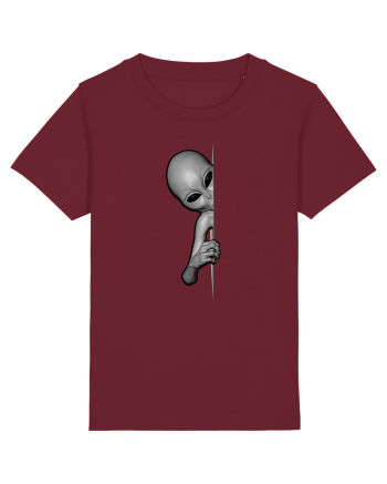 Grey Alien Peeking Burgundy