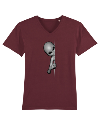 Grey Alien Peeking Burgundy